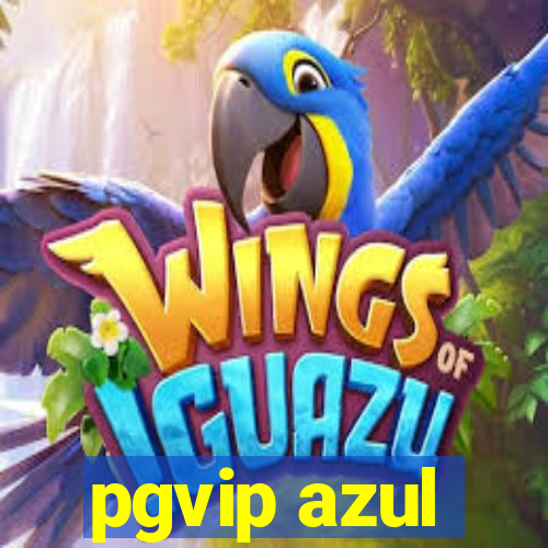 pgvip azul